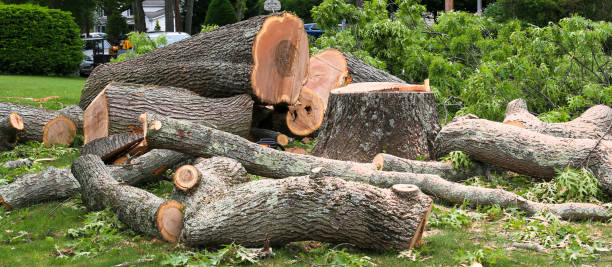 Best Arborist Consultation Services  in Whitfield, PA